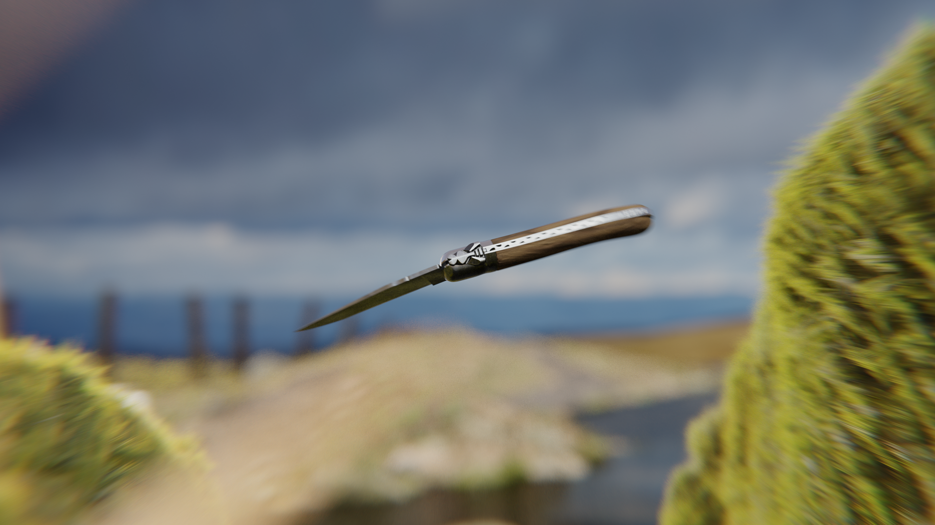 couteau laguiole final